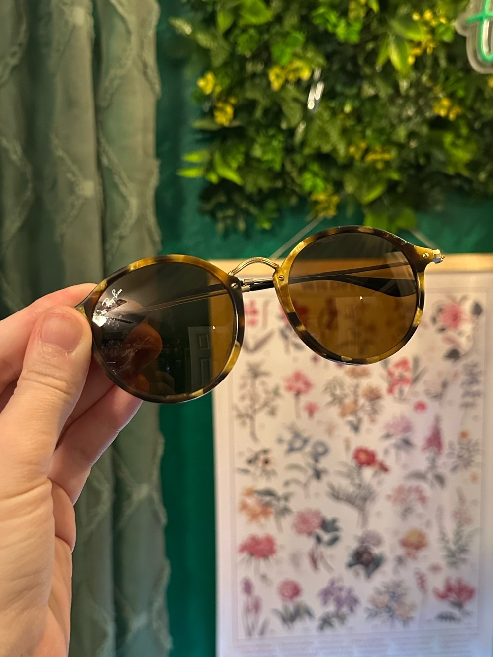 Sunglasses